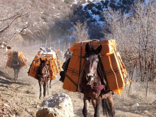 Roboski Katliamı