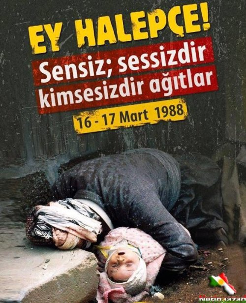 Palaşımlarımız