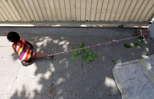 Reuters objektifinden 2016 yılın fotoğrafları