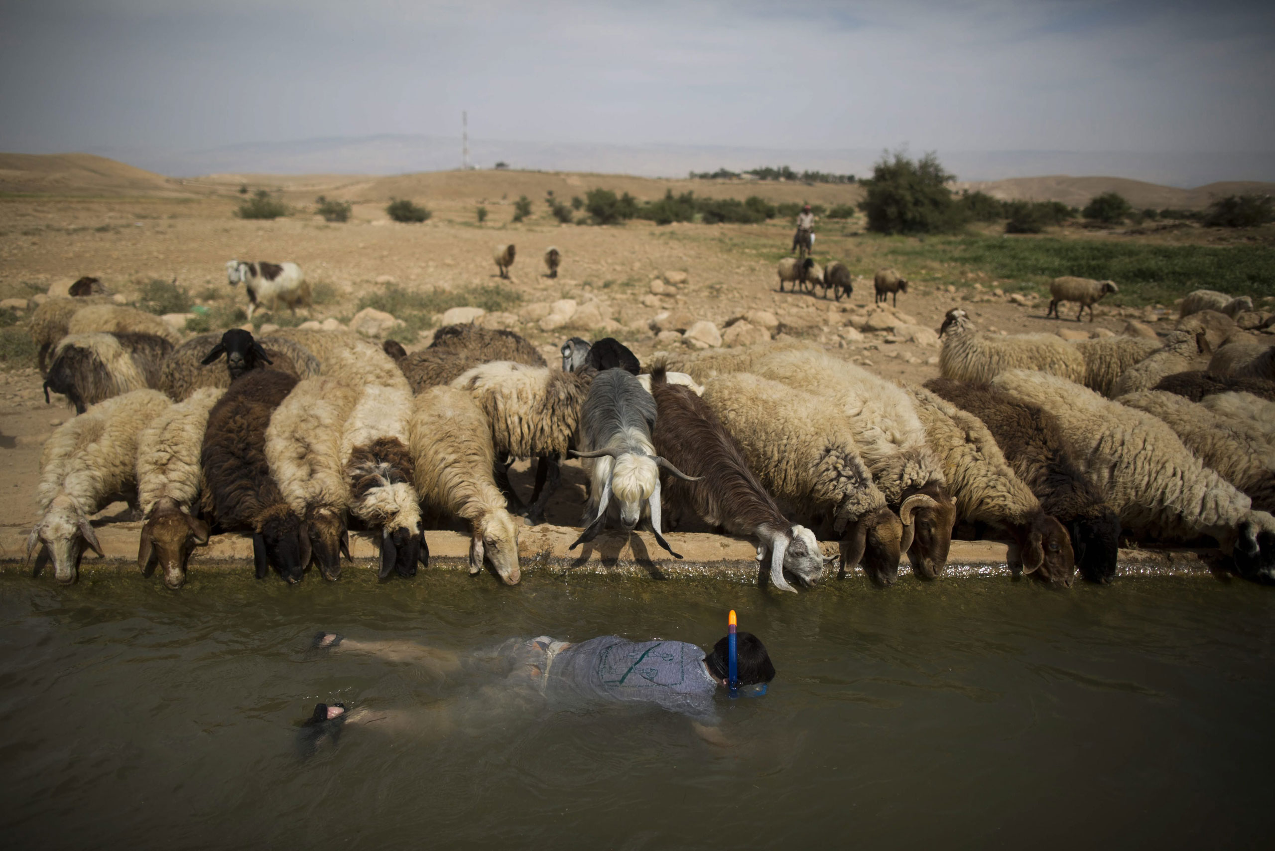 2015'in hafızalara kazınan 100 Times fotoğrafı