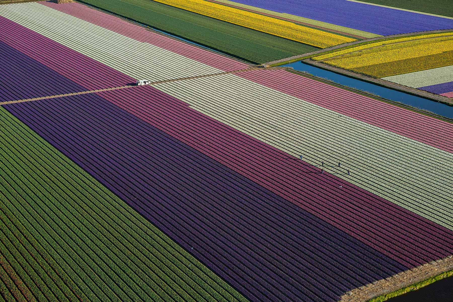 2015'in hafızalara kazınan 100 Times fotoğrafı