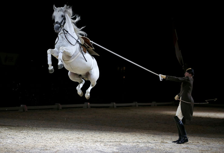 Reuters objektifinden 2016 yılın fotoğrafları