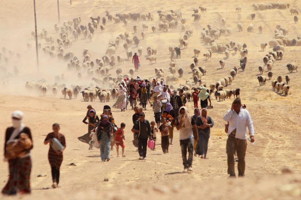 Şengal Ezidi Trajedisi