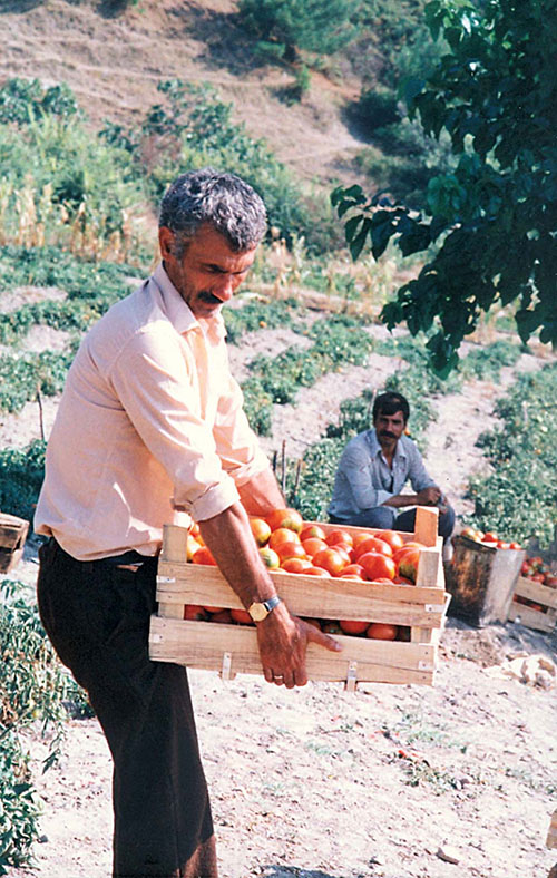 Yılmaz Güneyin İmralı Günleri