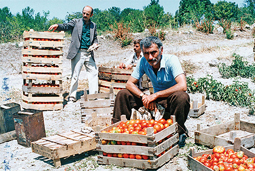 Yılmaz Güneyin İmralı Günleri