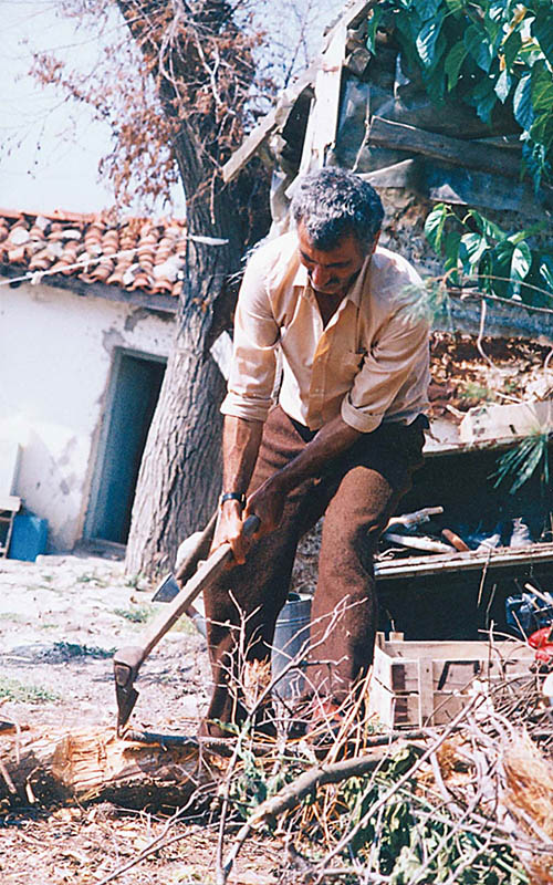 Yılmaz Güneyin İmralı Günleri