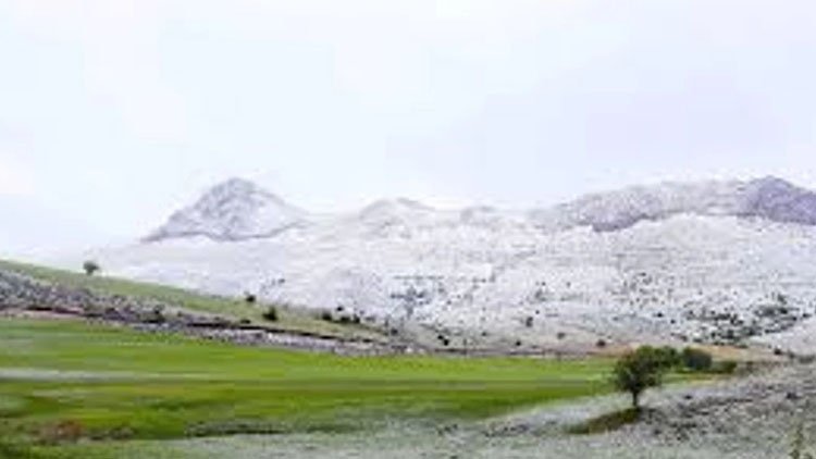 Iğdır, Ardahan ve Ağrı'nın yüksek kesimlerine kar yağdı