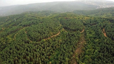 Antep'te ormanlık alanlara girişler yasaklandı