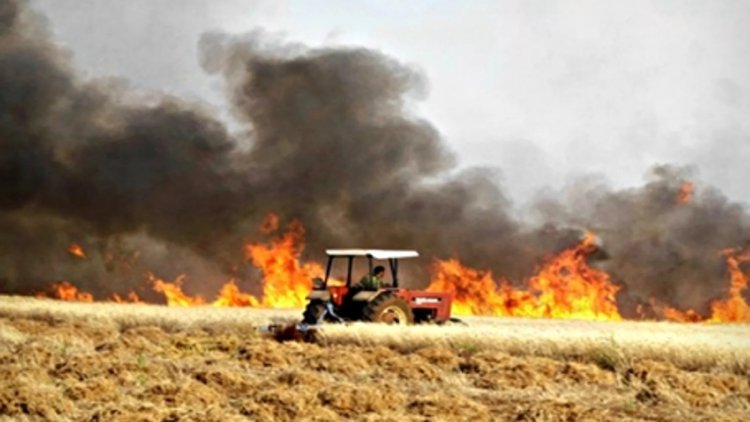 Suriye'de tarım arazilerinde büyük yangın