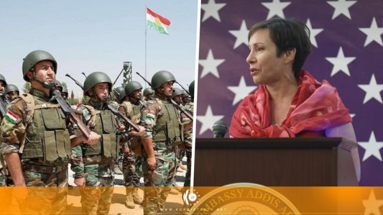 ABD'nin Irak Büyükelçiliği'nin yeni adayı: 'Peşmerge güçlerini destekliyoruz'
