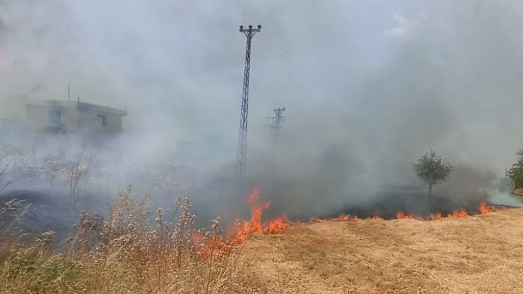 Diyarbakır'ın Çınar ilçesinde tekrar yangın çıktı