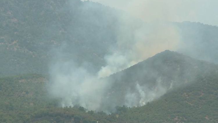 TSK-PKK çatışması nedeniyle Amedi ilçesindeki binlerce dönüm arazide yangın