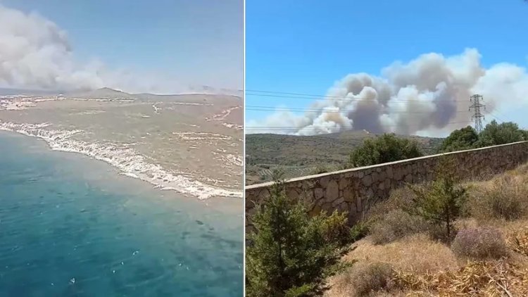 İzmir'de orman yangını: Üç kişi öldü