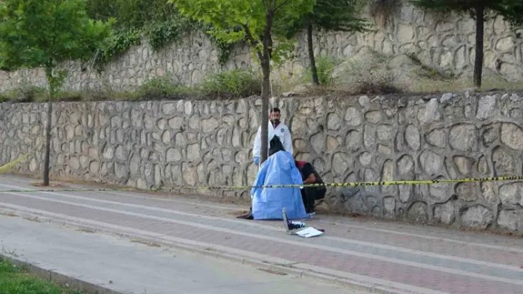 Malatya'da sır ölüm! İş insanı ağaca asılı halde bulundu