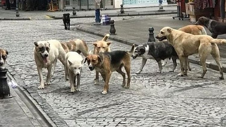 ‘Uyutma’ teklifi: Komisyondan geçen ilk üç maddede neler var?