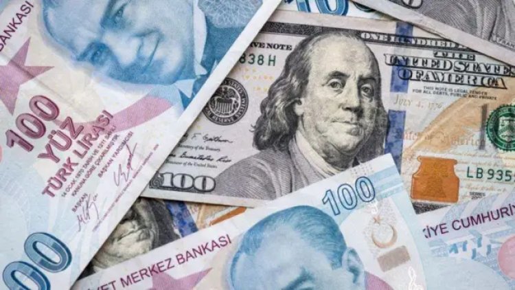 Dolar/TL rekor tazeledi