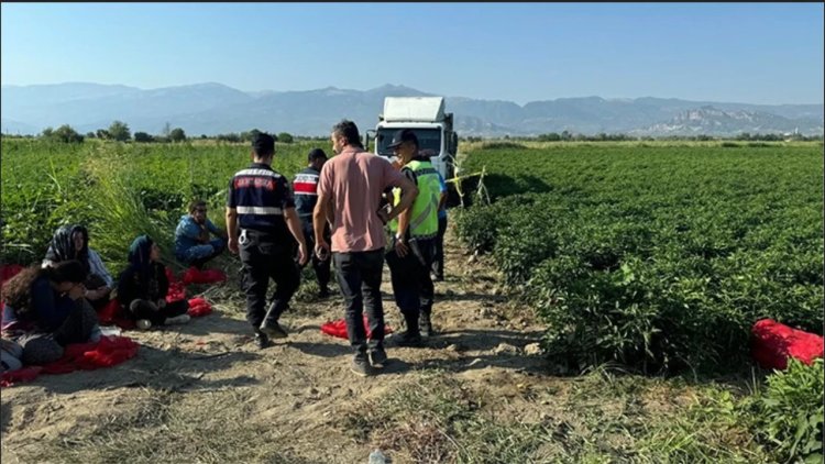 Tarlada uyuyan çocuk kamyonun altında kaldı: Yakınları şoförü öldürdü