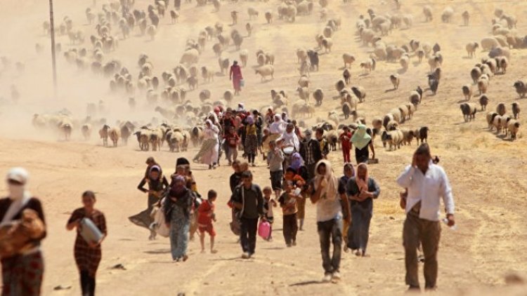 İrlanda Ezidi Kürt katliamına ilişkin toplantıya ev sahipliği yapacak