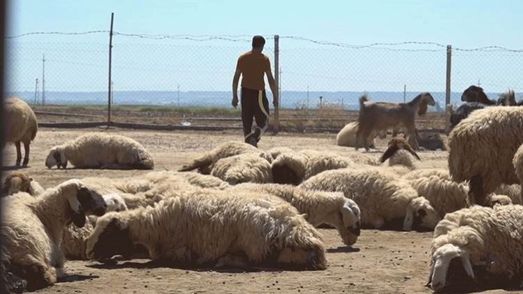 Kerkük'ün Kürt köylerinde Araplaştırma çalışması hız kazandı: Kürtler azınlık oldu