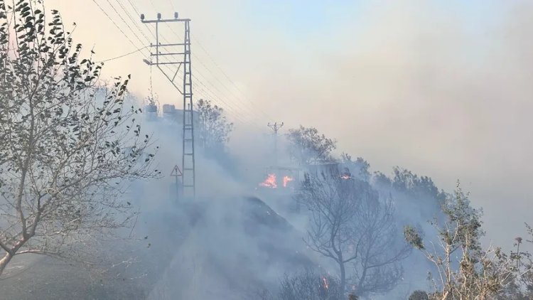 Hatay'da orman yangını: Alevler evlere sıçradı