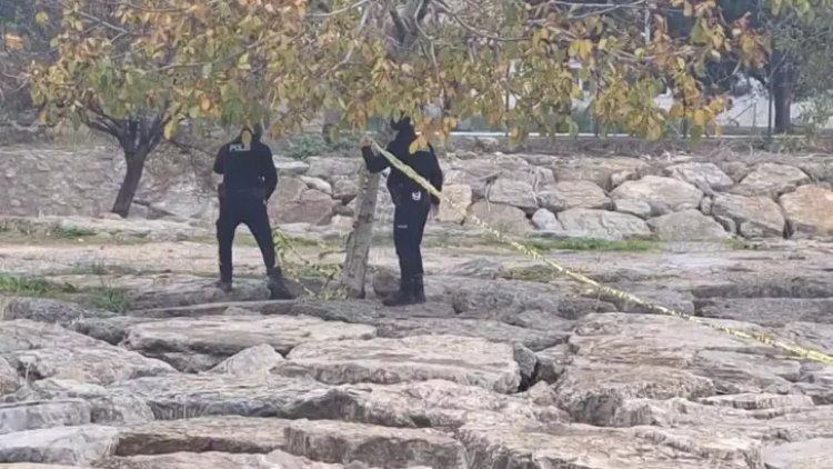 İstanbul: Pendik sahilde iki kişinin başından vurulmuş halde cesedi bulundu