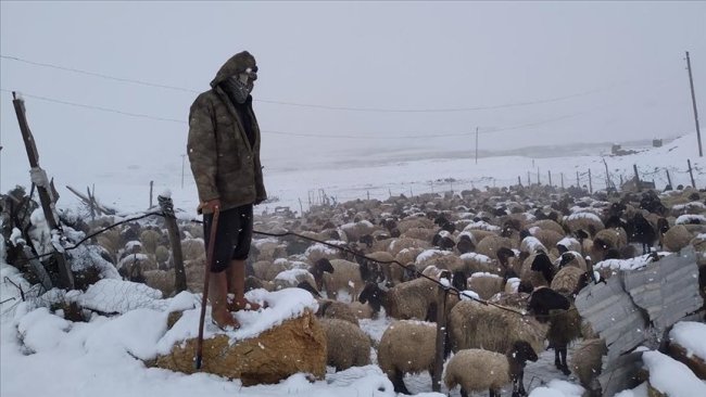 Koçerên ku jiber berfê asê mabûn piştî 3 rojan hatin rizgarkirin