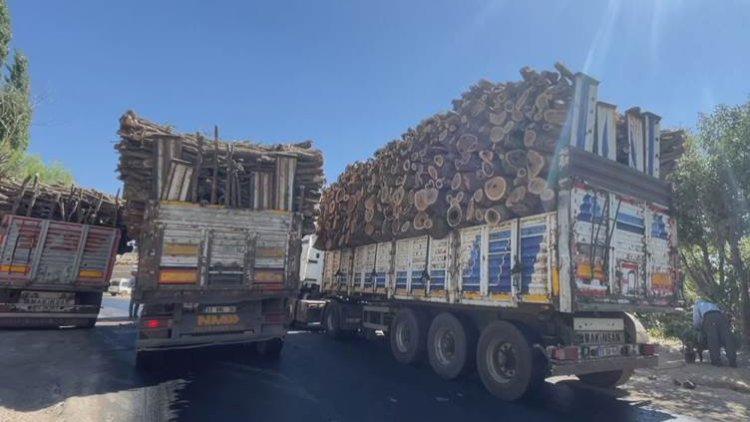 Rêxistinên Bakurê Kurdistanê dê meşeke aştiyane ji bo Çiyayê Cûdî li dar bixin