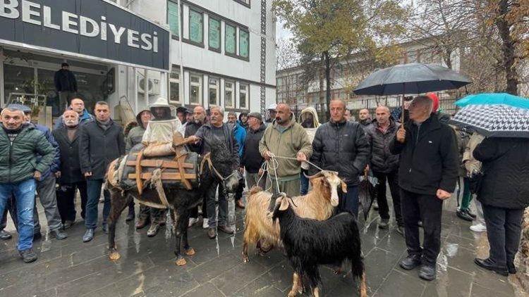 Li Dêrsîmê welatiyan projeya kargeha paşmayan protesto kirin