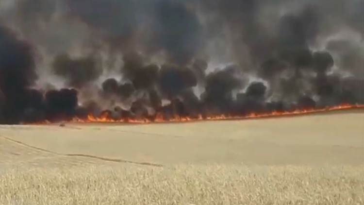 Li Kobaniyê zêdetirî 30 hektar zeviyên genim şewitîn