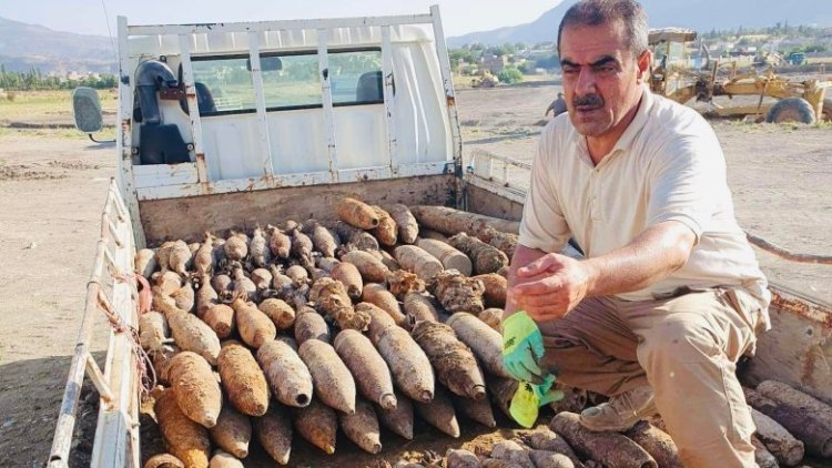 Li Soranê li şûna pirojeyeke niştecihbûnê 174 teqemenî hatin dîtin