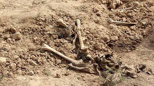 Şengal’de 30 toplu mezar bulunuyor