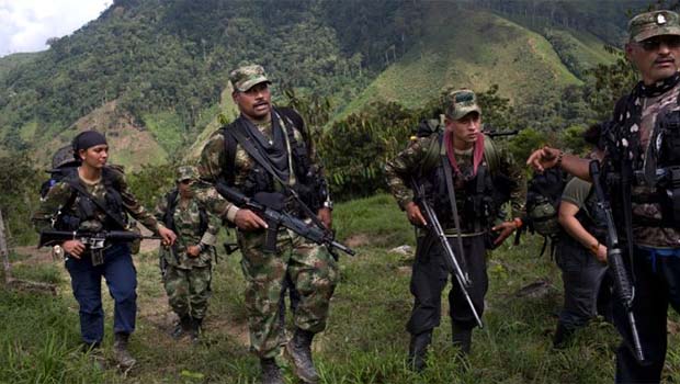 Barış Süreci adımı: Farc Gerillaları Serbest