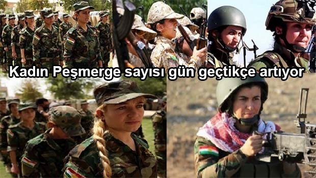 Kobanê direnişi, Kadınların Peşmerge saflarına katılımın artmasını tetikledi