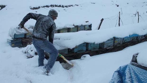 Şırnak'ta arılara 'avuç içi' ısıtma