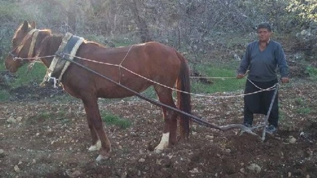 Adıyaman'da belediye işçisi boğazı kesilmiş halde bulundu