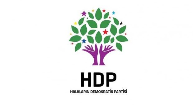 HDP'de yeni yönetim belli oldu