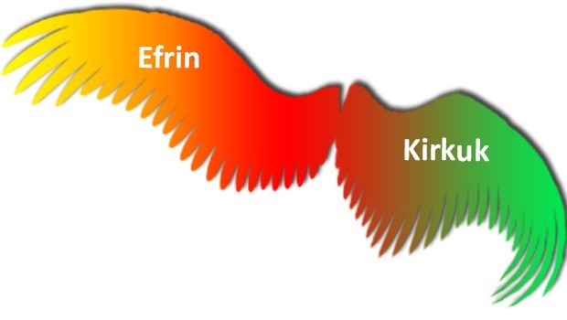 Efrin ve uluslararası ilişkiler