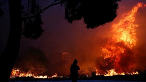 Yunanistan'daki orman yangınlarında ölenler 50 kişiyi aştı 