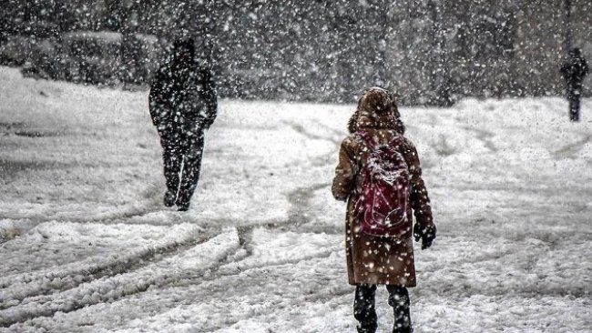 Bitlis ve Hakkari'de eğitime kar engeli