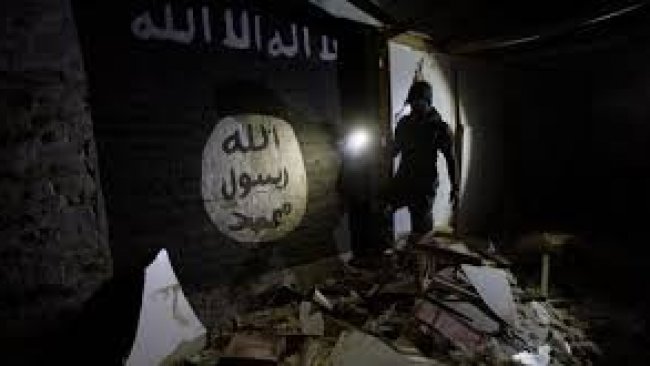 Almanya, İngiltere ve Danimarka IŞİD’lileri istemiyor