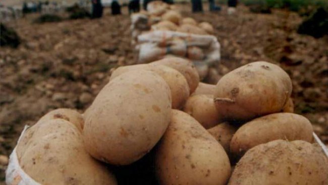 Patates fiyat artışında Türkiye dünya 2’ncisi