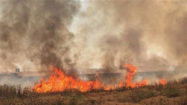 Irak Tarım Bakanlığı: Arazileri yanan çiftçilerin zararları ödenecek