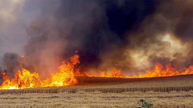 Kerkük’te Kürtlere karşı yürütülen sinsi plan