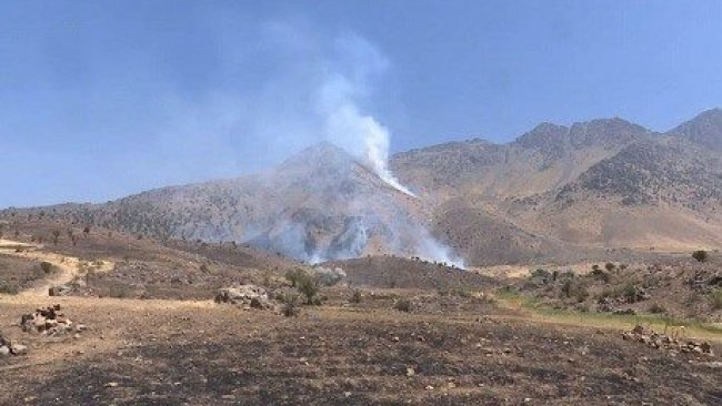 TSK bombardımanları onlarca dönüm arazinin yanmasına neden oldu