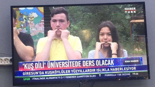 Kürt aydınlar tepkili: Kuş diline yer var, Kürtçe'ye yok