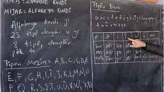 Dilbilimcilerden Dünya Anadil Günü mesajı: Kürtçe eğitim dili olmak zorunda