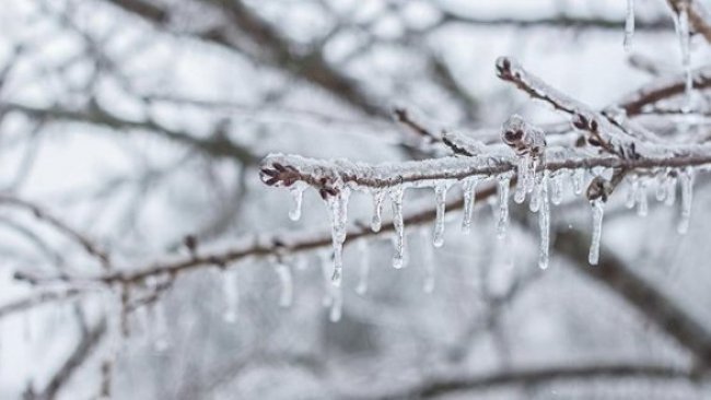 Kürt illerine,Buzlanma ve çığ uyarısı