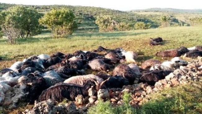 Mardin'de kardeşlere yıldırım isabet etti: 1 ölü