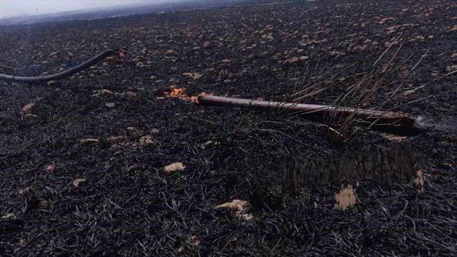 Mahmur’da Kürt çiftçilerin ekinleri ateşe verildi