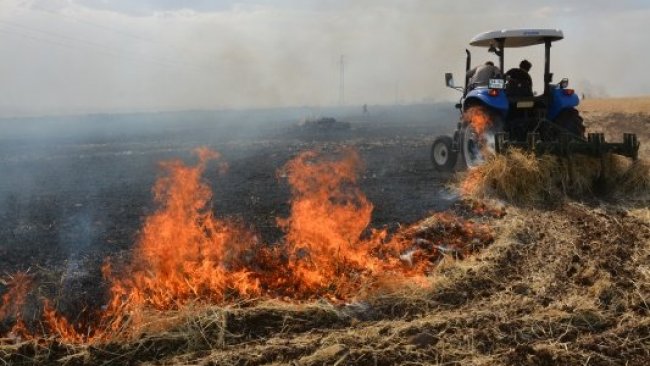 Urfa'da yangın: 400 dönümlük ekili alan zarar gördü